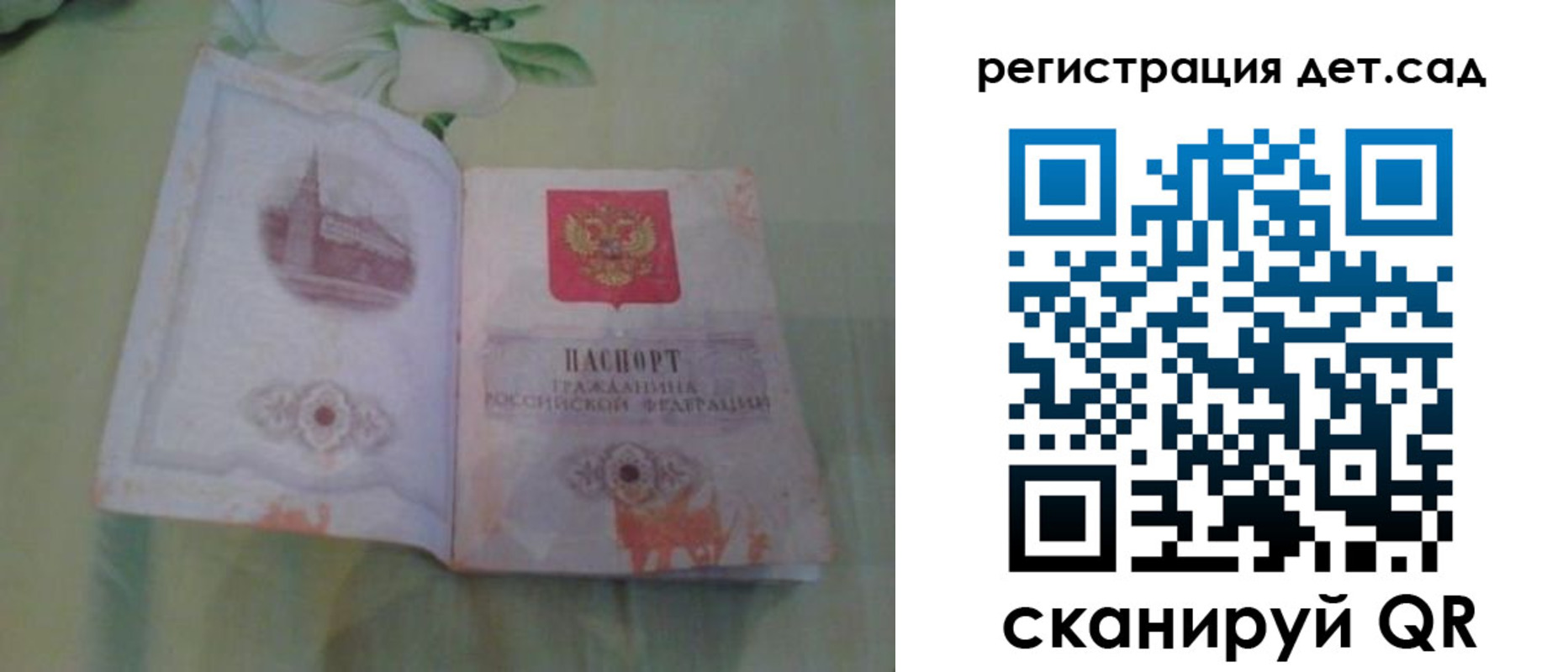прописка гарантия в Борзе